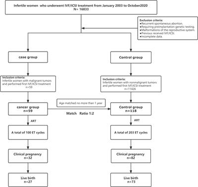 The Impact of Malignancy on Assisted Reproductive Outcomes for Cancer Survivors: A Retrospective Case–Control Study